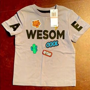 Boys 2t tee shirt
